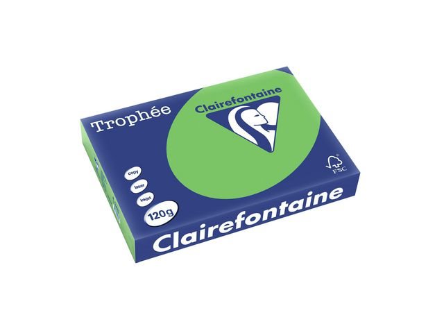 Kopieringspapper A4 120g vårgrön | 250st/förp TROPHEÉ 