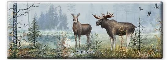 Magnet Sverige Tylösand/ Älgar