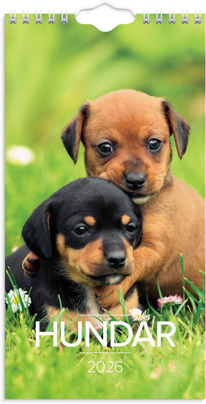 Väggkalender 2026 Liten Hundkalender
