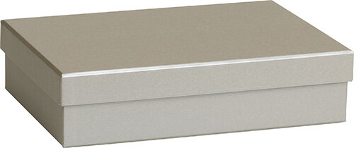 Presentlåda 16.5x24x6 cm Silver
