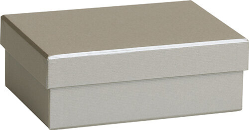 Presentlåda 12x16.5x6 cm Silver
