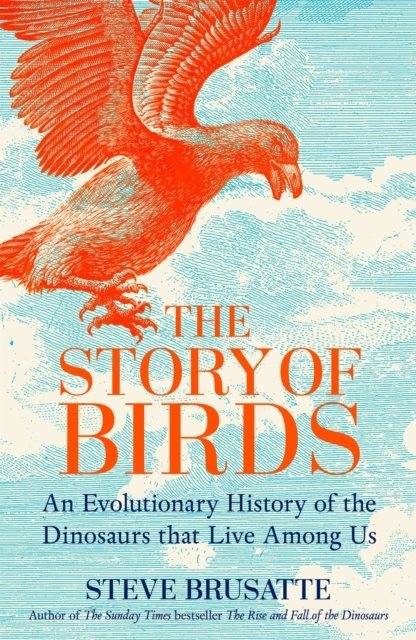 The Story of Birds