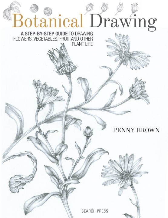 Botanical drawing - a step-by-step guide to drawing flowers, vegetables, fr
