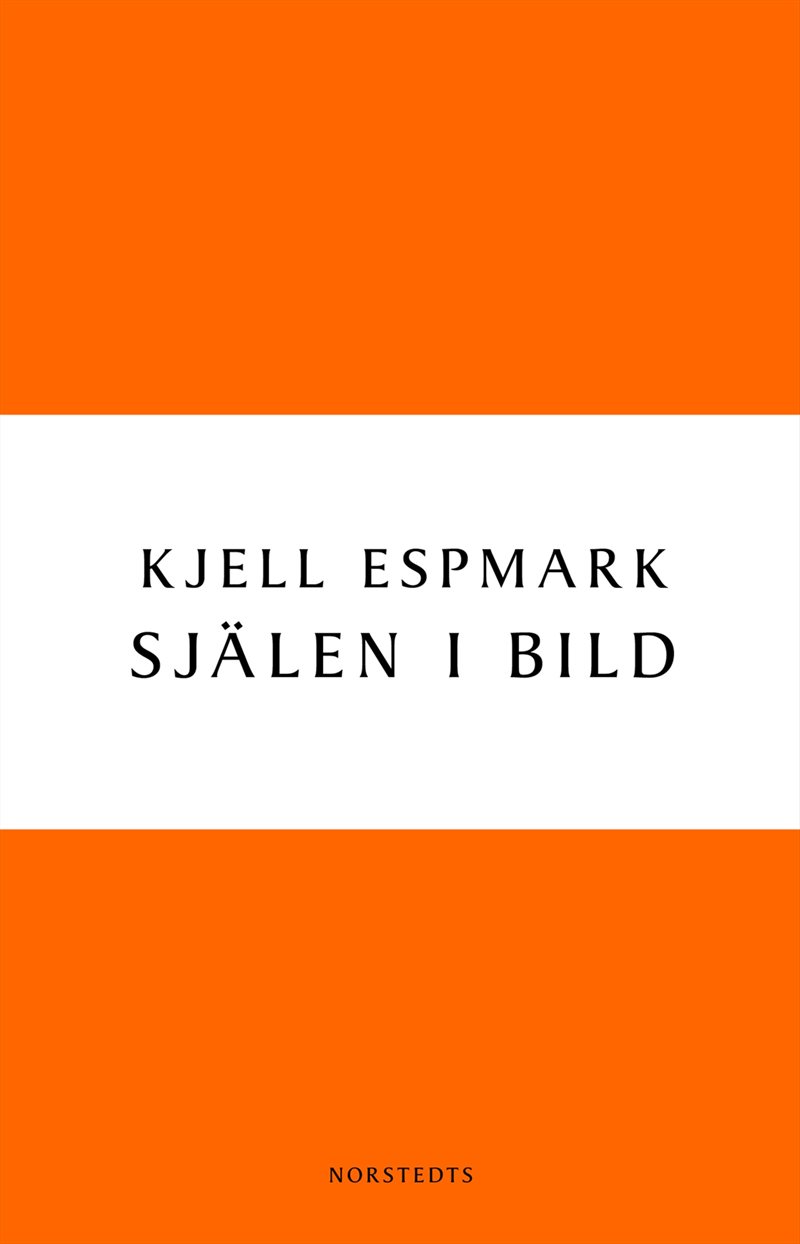 Själen i bild : en huvudlinje i modern svensk poesi