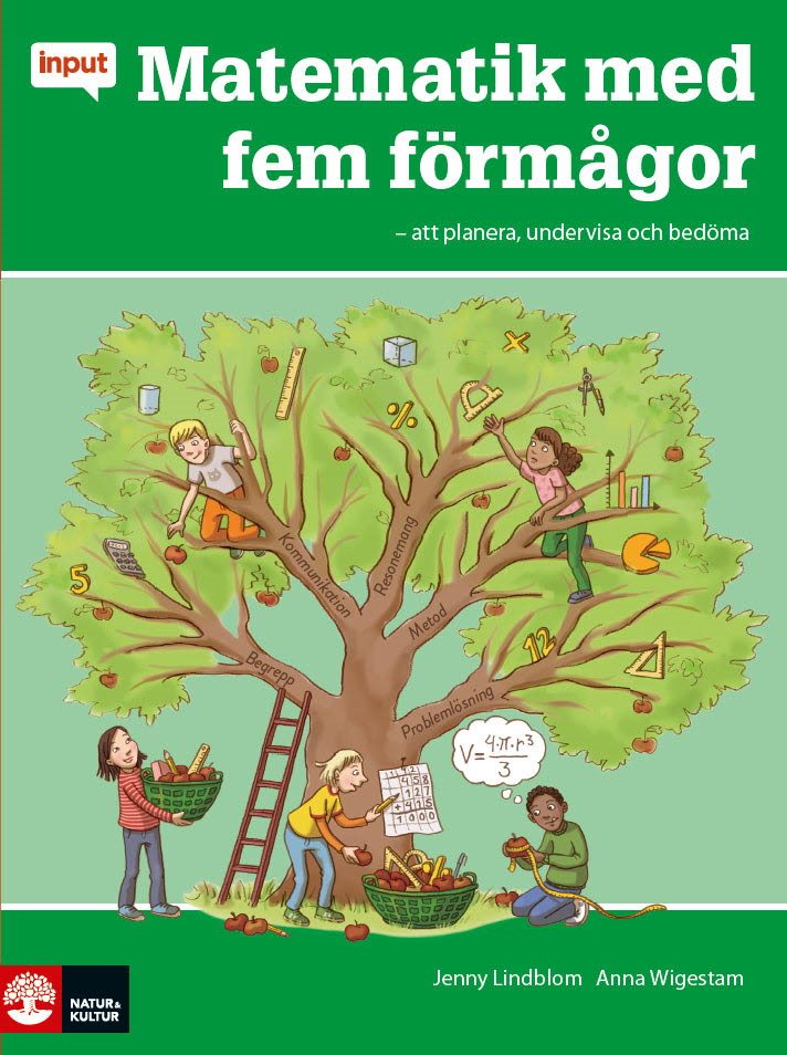 Input Matematik med fem förmågor