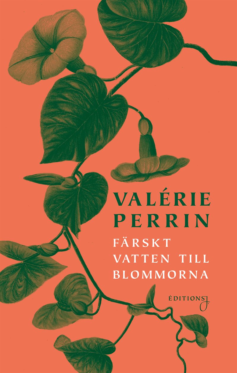 Bok | Färskt vatten till blommorna