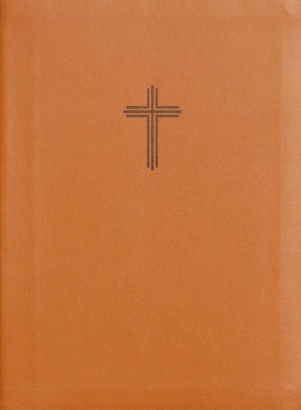 Bibel 2026 (honung) - konstskinn utan noter