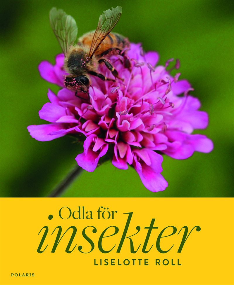 Odla för insekter