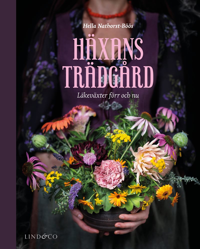 Häxans trädgård : läkeväxter förr och nu