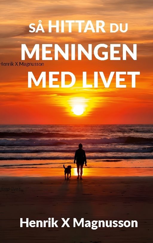 Så hittar du meningen med livet : din guide i tillvaron