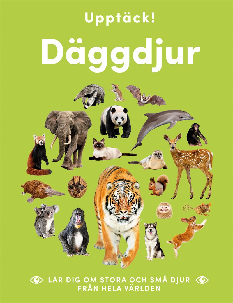 Upptäck däggdjur : lär dig om stora och små djur från hela världen
