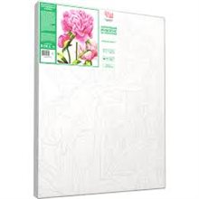 Paint By Numbers Bright Peonies