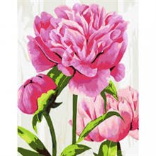 Paint By Numbers Bright Peonies