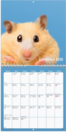 Väggkalender 2026 Sötnosar