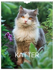 Väggkalender 2026 Stora Kattkalendern