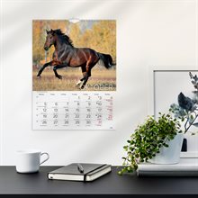 Väggkalender 2026 Stora Hästkalendern