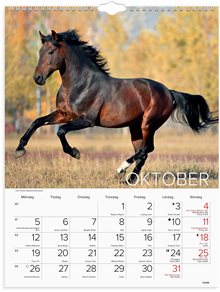 Väggkalender 2026 Stora Hästkalendern