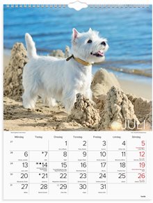 Väggkalender 2026 Stora Hundkalendern