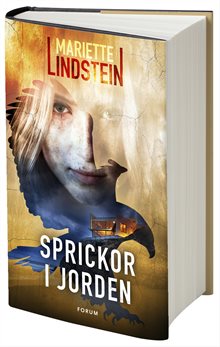 Sprickor i jorden