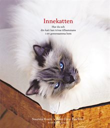 Innekatten - hur du och din katt kan trivas tillsammans i ert gemensamma hem