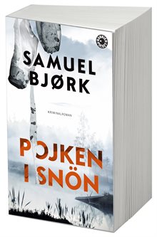 Pojken i snön