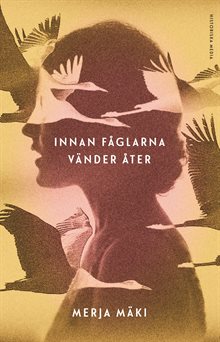 Innan fåglarna vänder åter