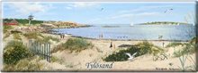 Magnet Sverige Tylösand/ Älgar